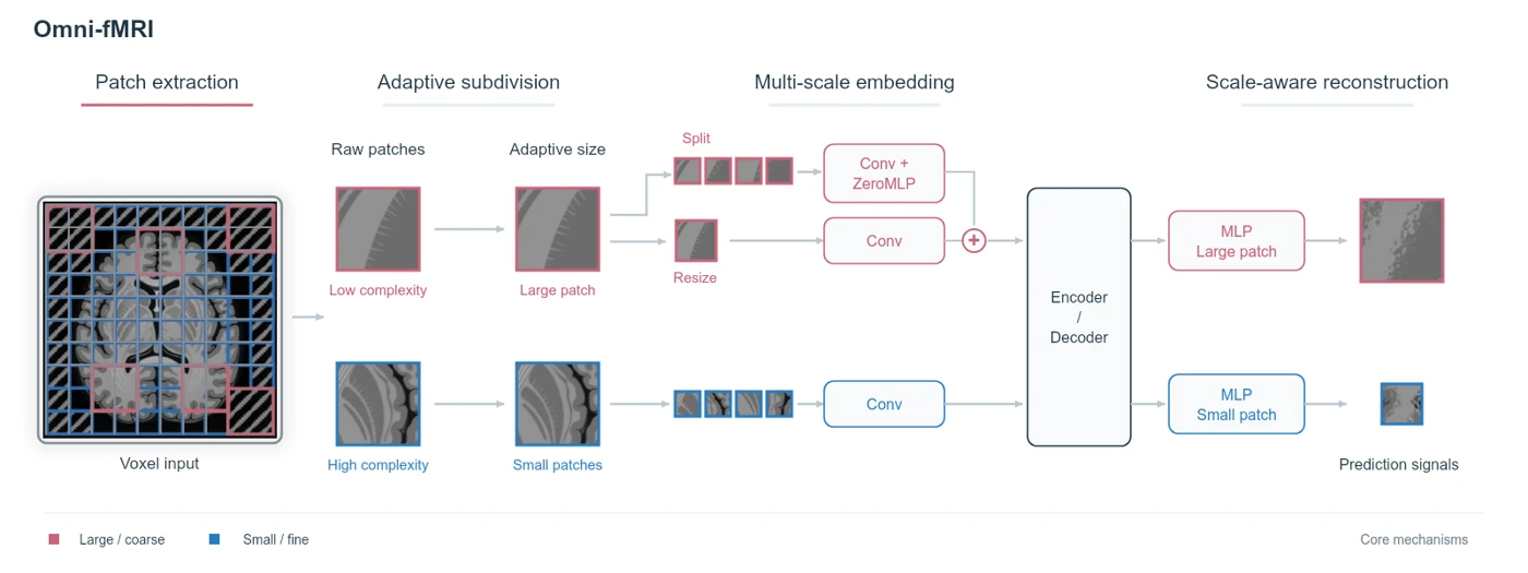 Animated Omni-fMRI method: adaptive patch allocation, multi-scale embedding, and scale-aware reconstruction.